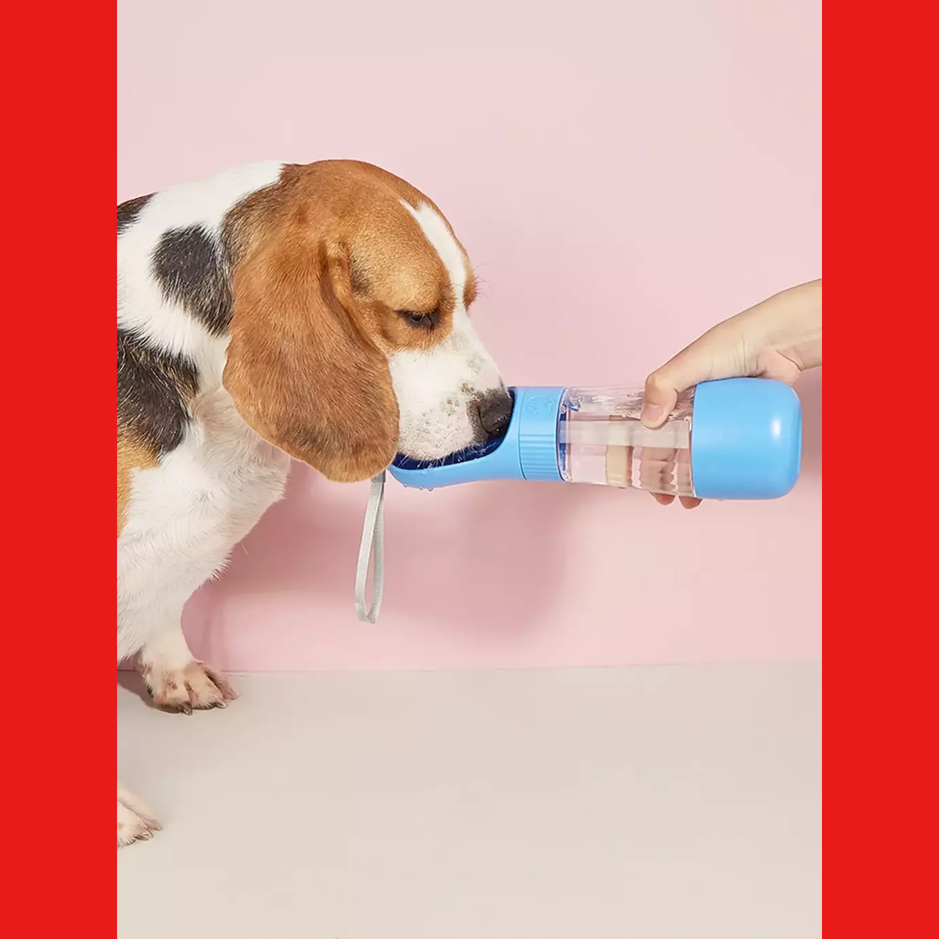 HydraPet Passeio Inteligente