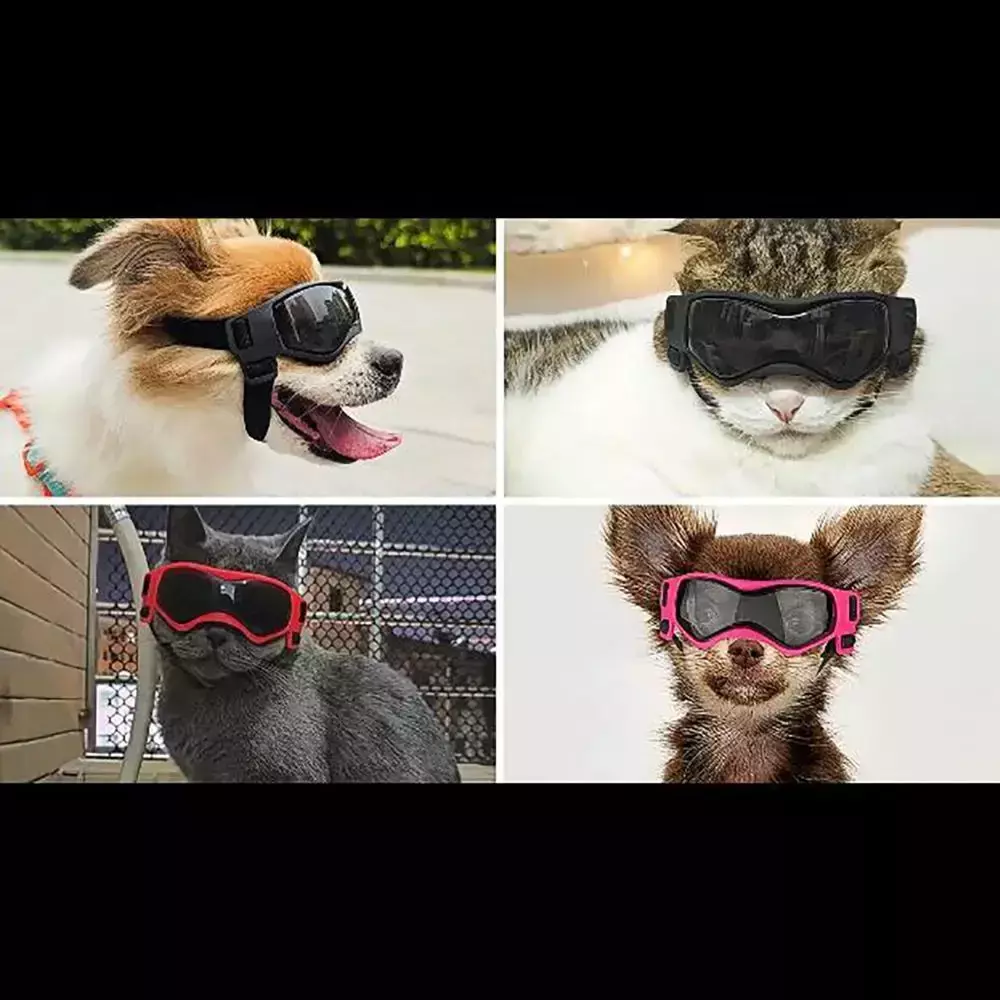 PetSight Óculos UV