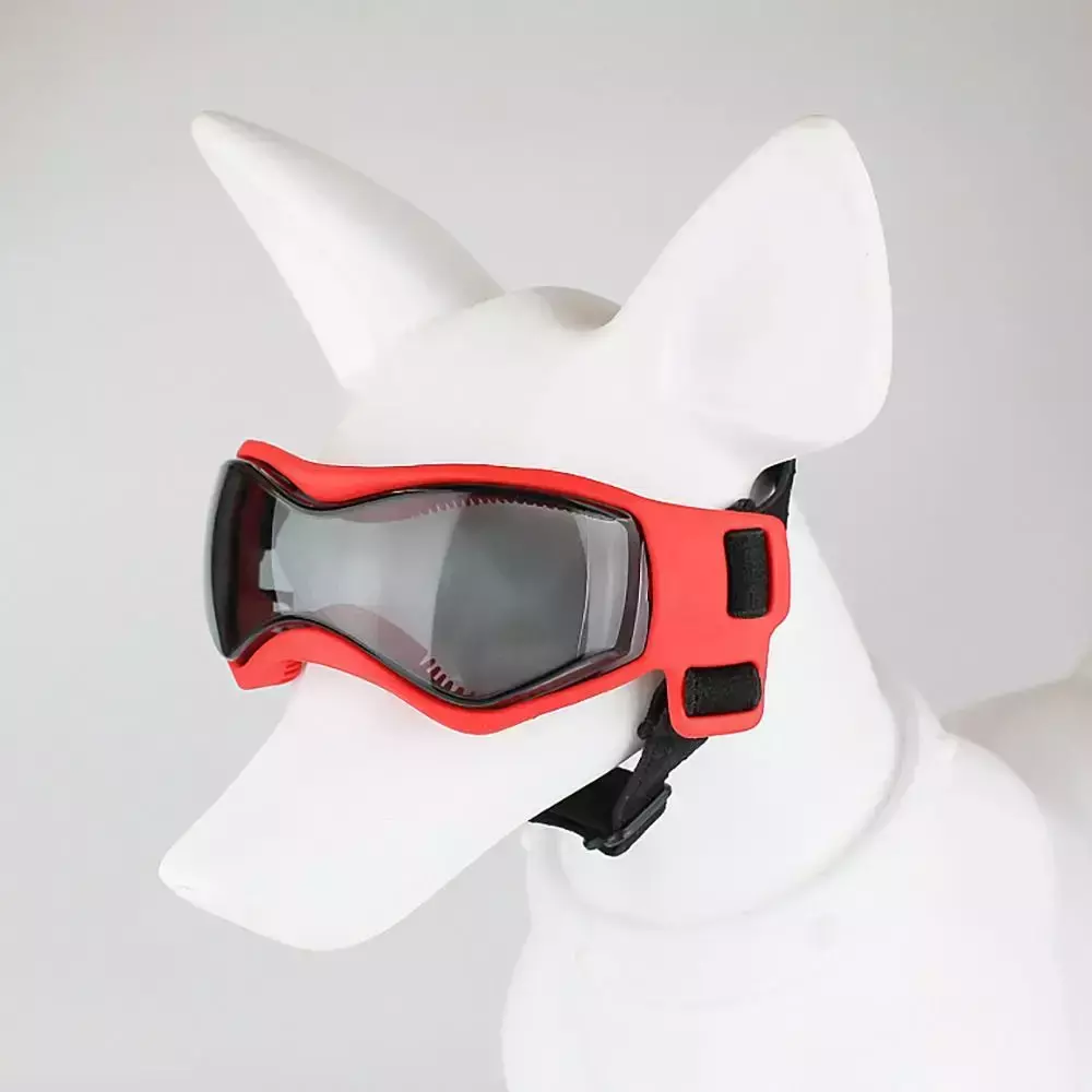 PetSight Óculos UV