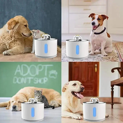Bebedouro Automático Para Gatos Com Filtro De Carvão USB -  FC©