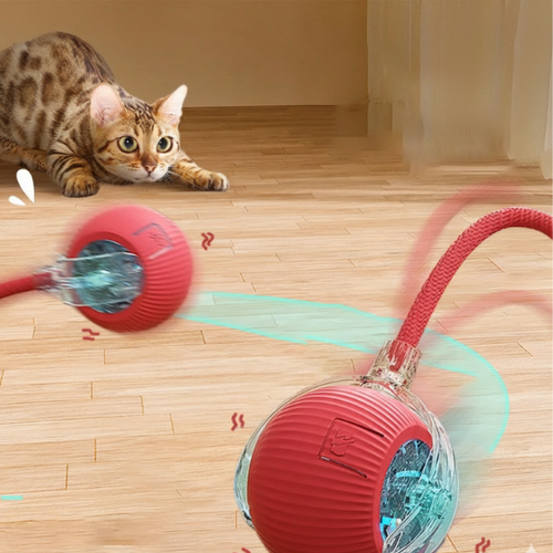 Bola Interativa Para Cães e Gatos Com 3 Modos Recarregável - FC©