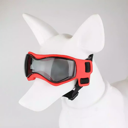 PetSight Óculos UV