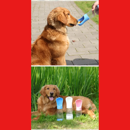 HydraPet Passeio Inteligente