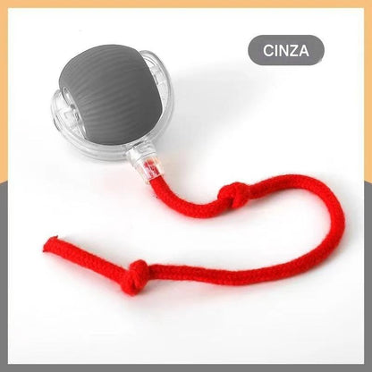 Bola Interativa Para Cães e Gatos Com 3 Modos Recarregável - FC©
