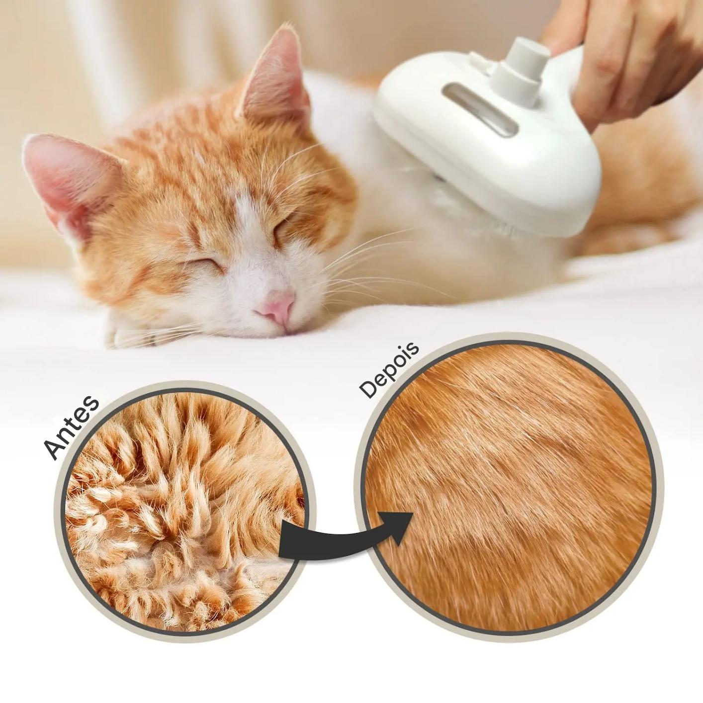 Escova Vaporizadora Para Pets - FC©